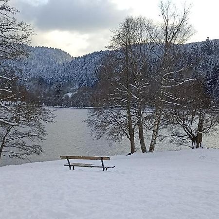 Ferienwohnung A 2 Pas Du Lac Xonrupt-Longemer Exterior foto