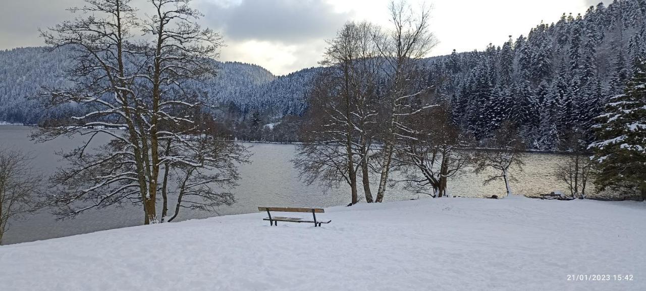 Ferienwohnung A 2 Pas Du Lac Xonrupt-Longemer Exterior foto