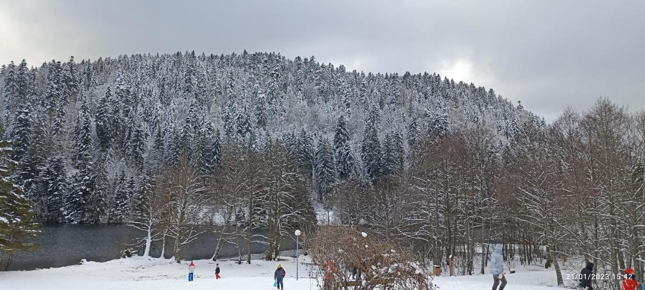 Ferienwohnung A 2 Pas Du Lac Xonrupt-Longemer Exterior foto