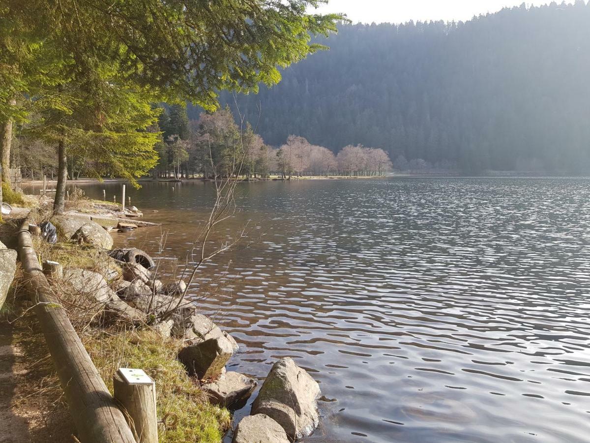 Ferienwohnung A 2 Pas Du Lac Xonrupt-Longemer Exterior foto